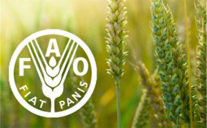 FAO: Περίπου 1,7 δισεκατομμύριο άνθρωποι πλήττονται από την υποβάθμιση της γης