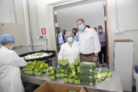 Λιβανός: Η Ένωση Μαστιχοπαραγωγών Χίου ηγέτιδα δύναμη στη χώρας μας