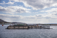 ΕΛΟΠΥ: Παρούσα στο 1ο Αραβο - Ελληνικό Συνέδριο Τροφίμων