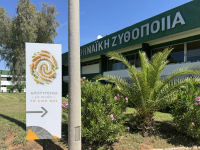 Αθηναϊκή Ζυθοποιία: Πράσινες επενδύσεις άνω των 60 εκατ. ευρώ στο εργοστάσιο της Πάτρας