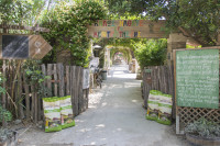 Country Farms: Ολοκληρώθηκε η πρωτοβουλία «Το καλό είναι στη φύση τους»