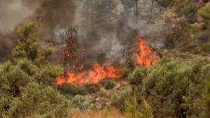 Πυρκαγιά στη Χίο - Μήνυμα 112 για απομάκρυνση κατοίκων από Διευχά και Κατάβαση Χίου