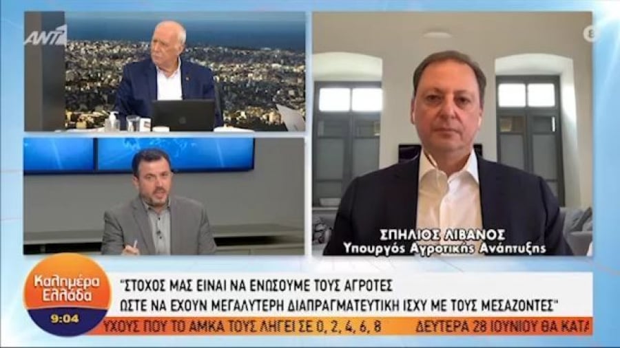 Λιβανός: Σπάμε τα καρτέλ με περισσότερους ελέγχους (vid)
