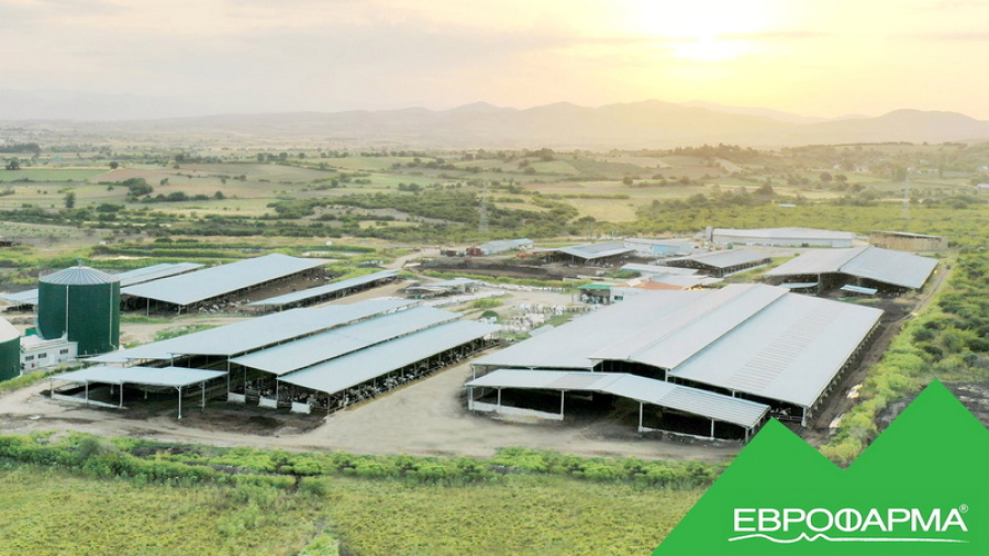 Εβροφάρμα: Ζημιές ύψους 146 χιλ. ευρώ κατά το γ΄ τρίμηνο