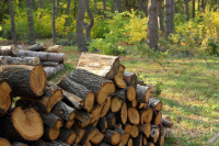 Break Even Consulting: Ανάδοχος έργου του ΥΠΕΝ για αξιοποίηση βιομάζας