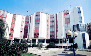 Στην AMPLUS έργο εφαρμογών ΑΙ για το ΠΑ.ΠΕΙ. με σύμβαση ύψους 2,84 εκατ. ευρώ