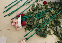 ΑΑΔΕ - Επιχείρηση «Τα άνθη του κακού»: Κύκλωμα έκρυβε 84 κιλά κοκαΐνης μέσα σε τριαντάφυλλα