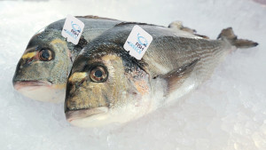 ΕΛΟΠΥ: Προσφέρει ψάρια ελληνικής ιχθυοκαλλιέργειας στο Κοινωνικό Παντοπωλείο του Δήμου Φιλιατών