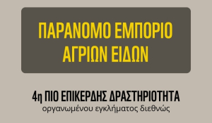 Έρευνα του WWF Ελλάς για το παράνομο εμπόριο άγριων ειδών, κυρίως πτηνών, στην Ελλάδα